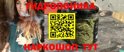 МДПВ Пушкино