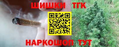 МДПВ Пушкино